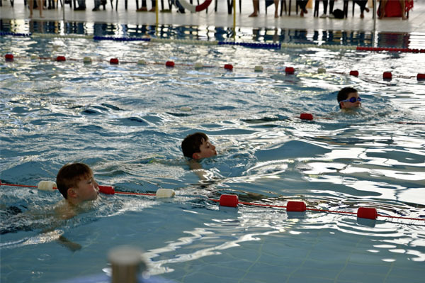 schwimmfest-2016-0017.jpg